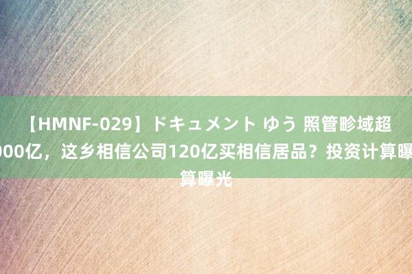 【HMNF-029】ドキュメント ゆう 照管畛域超4000亿，这乡相信公司120亿买相信居品？投资计算曝光