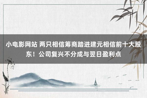 小电影网站 两只相信筹商踏进建元相信前十大股东！公司复兴不分成与翌日盈利点