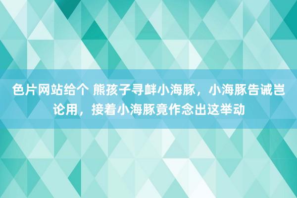 色片网站给个 熊孩子寻衅小海豚，小海豚告诫岂论用，接着小海豚竟作念出这举动