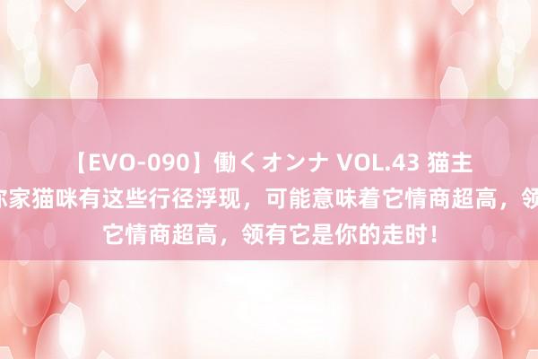 【EVO-090】働くオンナ VOL.43 猫主东说念主提防！你家猫咪有这些行径浮现，可能意味着它情商超高，领有它是你的走时！