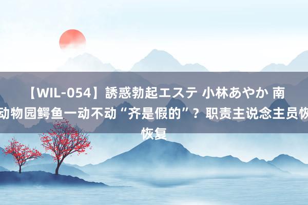 【WIL-054】誘惑勃起エステ 小林あやか 南宁动物园鳄鱼一动不动“齐是假的”？职责主说念主员恢复