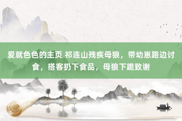 爱就色色的主页 祁连山残疾母狼，带幼崽路边讨食，搭客扔下食品，母狼下跪致谢