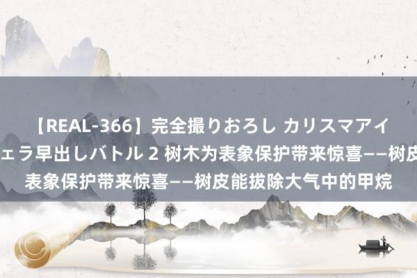 【REAL-366】完全撮りおろし カリスマアイドル対抗！！ ガチフェラ早出しバトル 2 树木为表象保护带来惊喜——树皮能拔除大气中的甲烷