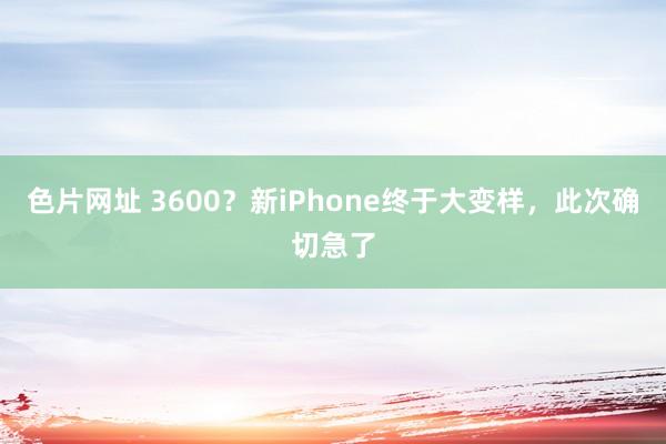 色片网址 3600？新iPhone终于大变样，此次确切急了