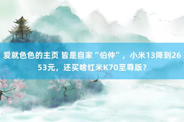 爱就色色的主页 皆是自家“伯仲”，小米13降到2653元，还买啥红米K70至尊版？