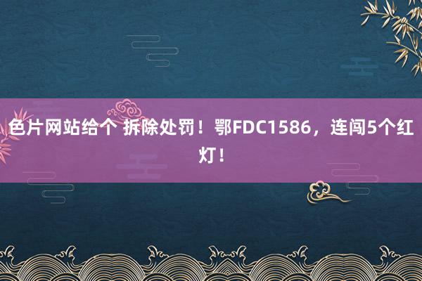 色片网站给个 拆除处罚！鄂FDC1586，连闯5个红灯！