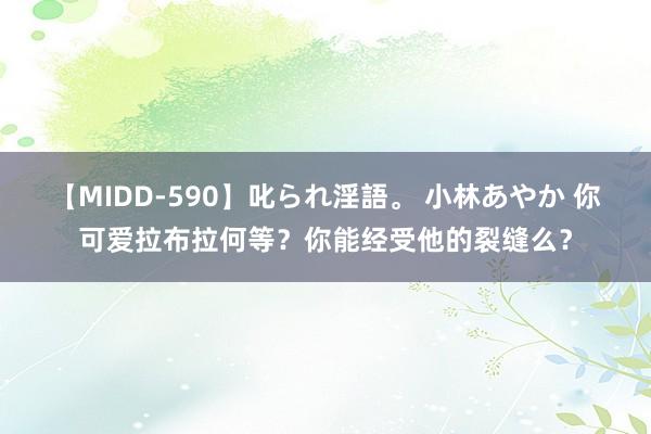 【MIDD-590】叱られ淫語。 小林あやか 你可爱拉布拉何等？你能经受他的裂缝么？