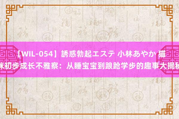 【WIL-054】誘惑勃起エステ 小林あやか 猫咪初步成长不雅察：从睡宝宝到踉跄学步的趣事大揭秘