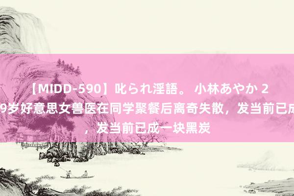 【MIDD-590】叱られ淫語。 小林あやか 2006年，29岁好意思女兽医在同学聚餐后离奇失散，发当前已成一块黑炭