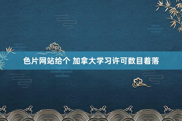 色片网站给个 加拿大学习许可数目着落