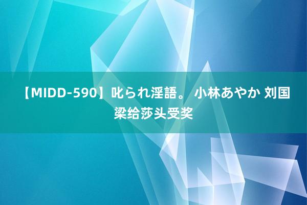 【MIDD-590】叱られ淫語。 小林あやか 刘国梁给莎头受奖