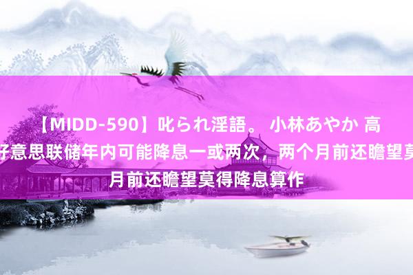 【MIDD-590】叱られ淫語。 小林あやか 高盛CEO瞻望好意思联储年内可能降息一或两次，两个月前还瞻望莫得降息算作