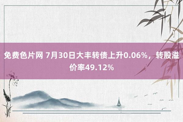 免费色片网 7月30日大丰转债上升0.06%，转股溢价率49.12%