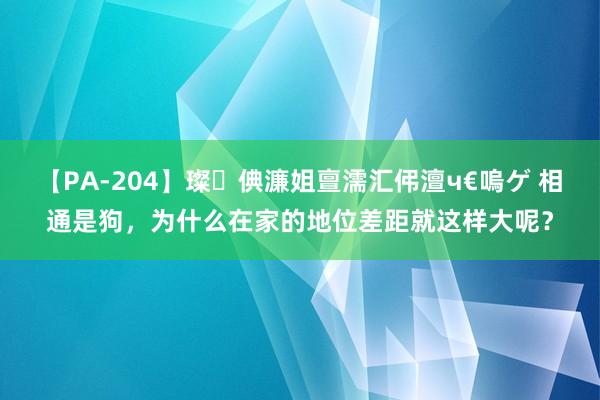 【PA-204】璨倎濂姐亶濡汇伄澶ч€嗚ゲ 相通是狗，为什么在家的地位差距就这样大呢？