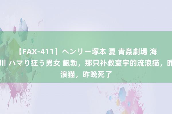 【FAX-411】ヘンリー塚本 夏 青姦劇場 海・山・川 ハマり狂う男女 鲍勃，那只补救寰宇的流浪猫，昨晚死了