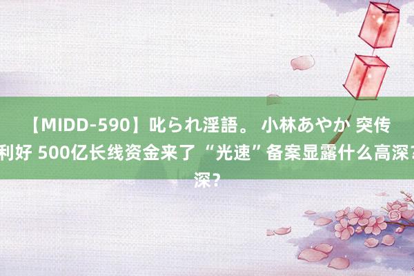 【MIDD-590】叱られ淫語。 小林あやか 突传利好 500亿长线资金来了 “光速”备案显露什么高深？