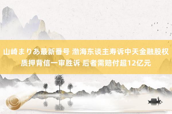 山崎まりあ最新番号 渤海东谈主寿诉中天金融股权质押背信一审胜诉 后者需赔付超12亿元