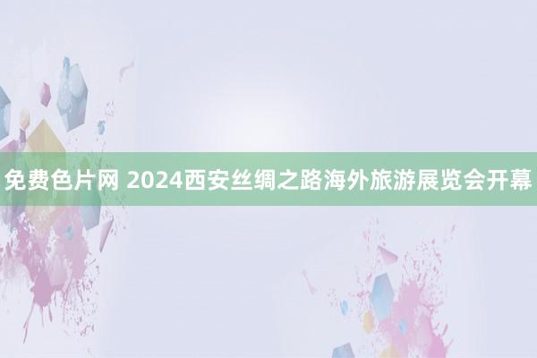 免费色片网 2024西安丝绸之路海外旅游展览会开幕