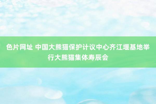 色片网址 中国大熊猫保护计议中心齐江堰基地举行大熊猫集体寿辰会