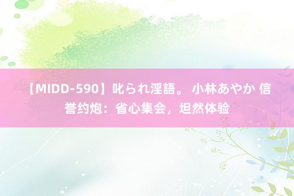 【MIDD-590】叱られ淫語。 小林あやか 信誉约炮：省心集会，坦然体验