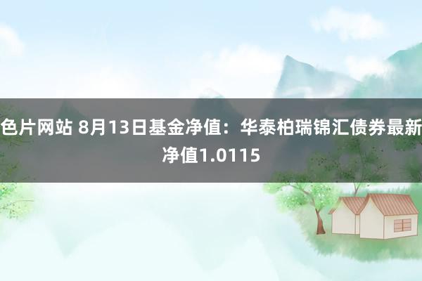 色片网站 8月13日基金净值：华泰柏瑞锦汇债券最新净值1.0115