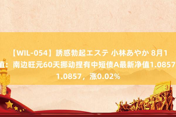 【WIL-054】誘惑勃起エステ 小林あやか 8月13日基金净值：南边旺元60天挪动捏有中短债A最新净值1.0857，涨0.02%