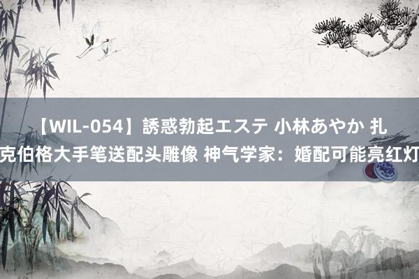 【WIL-054】誘惑勃起エステ 小林あやか 扎克伯格大手笔送配头雕像 神气学家：婚配可能亮红灯