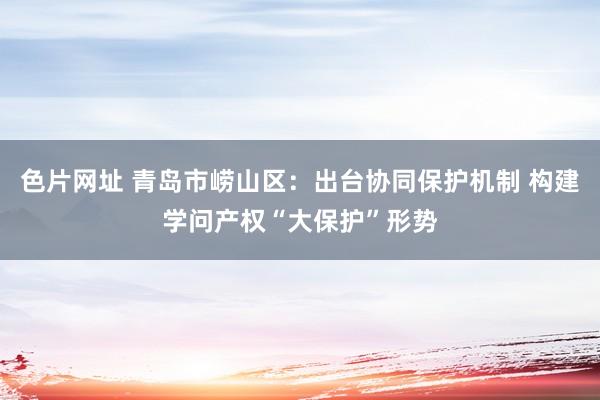 色片网址 青岛市崂山区：出台协同保护机制 构建学问产权“大保护”形势