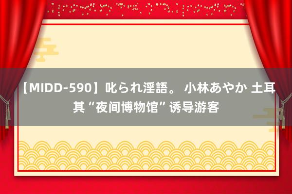 【MIDD-590】叱られ淫語。 小林あやか 土耳其“夜间博物馆”诱导游客