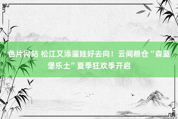 色片网站 松江又添遛娃好去向！云间粮仓“森蓝堡乐土”夏季狂欢季开启