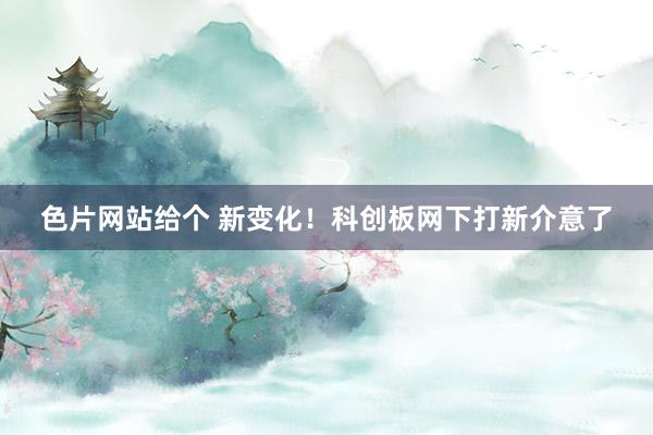 色片网站给个 新变化！科创板网下打新介意了