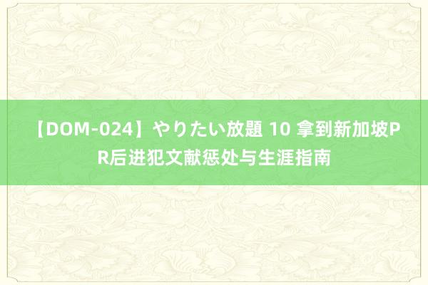 【DOM-024】やりたい放題 10 拿到新加坡PR后进犯文献惩处与生涯指南