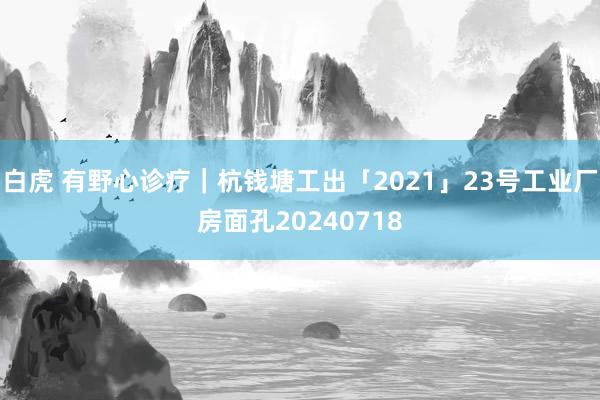 白虎 有野心诊疗｜杭钱塘工出「2021」23号工业厂房面孔20240718