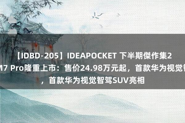 【IDBD-205】IDEAPOCKET 下半期傑作集2009 问界新M7 Pro隆重上市：售价24.98万元起，首款华为视觉智驾SUV亮相