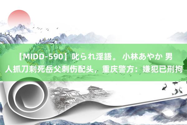 【MIDD-590】叱られ淫語。 小林あやか 男人抓刀刺死岳父刺伤配头，重庆警方：嫌犯已刑拘