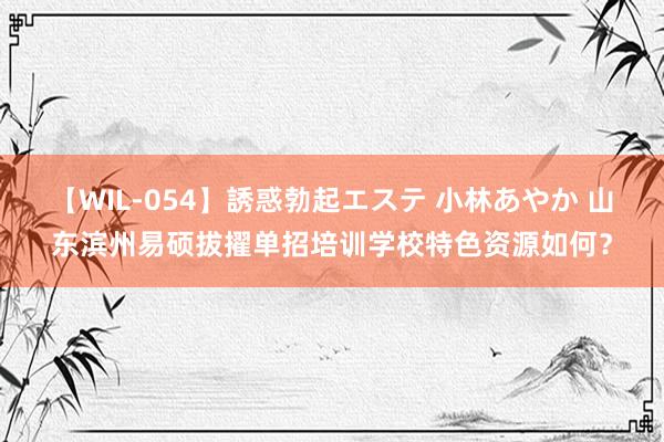 【WIL-054】誘惑勃起エステ 小林あやか 山东滨州易硕拔擢单招培训学校特色资源如何？