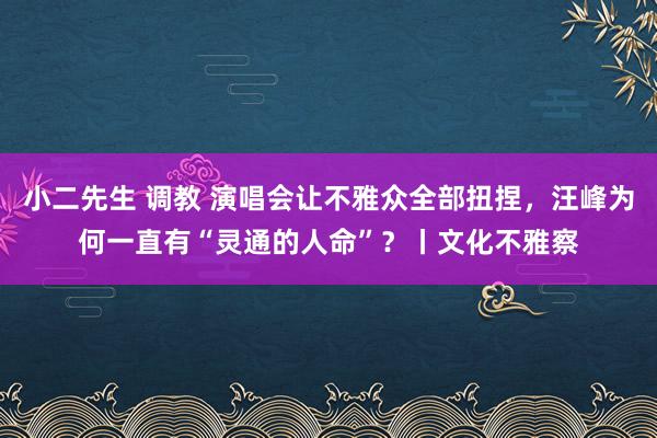 小二先生 调教 演唱会让不雅众全部扭捏，汪峰为何一直有“灵通的人命”？丨文化不雅察